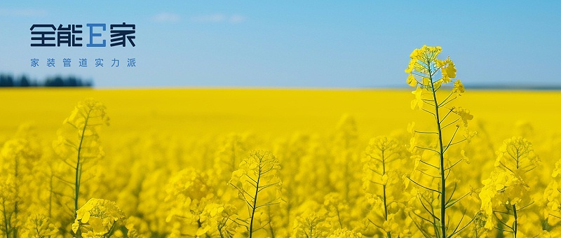 Nipic_31245633_202403161001342671292