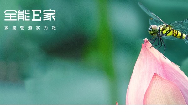 立夏|春去遠，夏正長