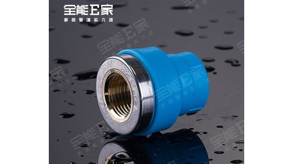 內(nèi)螺紋接頭(別墅專用) 內(nèi)螺紋接頭(別墅專用)