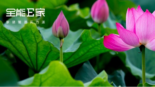 小暑至|暑意漸濃，盛夏將至