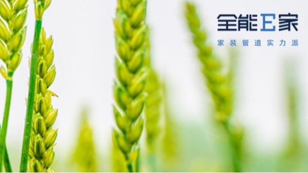 小滿|天逐熱，溫風沐麥圓